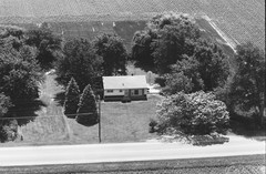 044-tlu-10