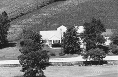 044-tlu-19