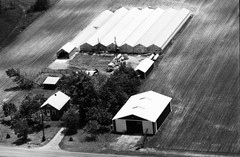 046-tlu-29