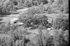 048-tlu-19