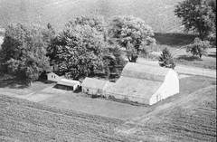 048-tlu-31