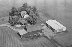 049-tlu-26