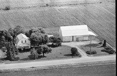 049-tlu-31