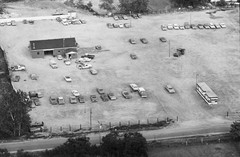 050-tlu-29