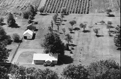 053-tlu-17