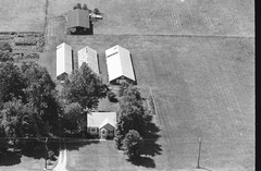 054-tlu-19