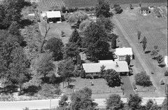 060-tlu-18