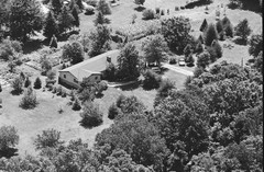062-tlu-21