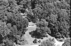 062-tlu-35