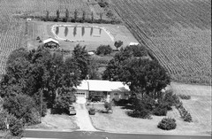 063-tlu-31