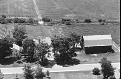 064-tlu-21