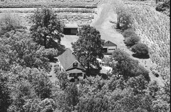 065-tlu-19