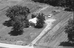 067-tlu-33