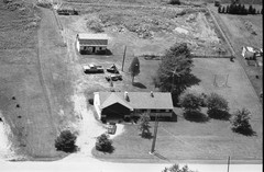 068-tlu-19