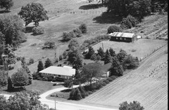069-tlu-19
