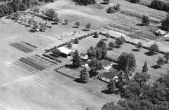071-tlu-29