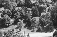 071-tlu-36