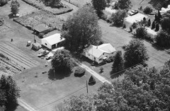 072-tlu-31