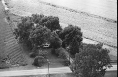 074-tlu-33