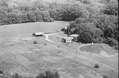 075-tlu-19
