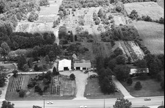 078-tlu-29