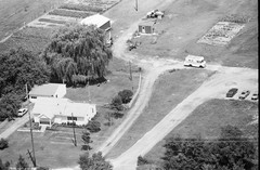 079-tlu-19