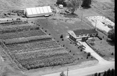 079-tlu-31