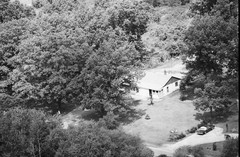 080-tlu-10