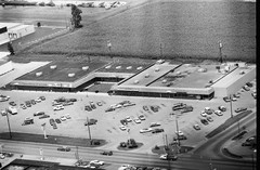 081-tlu-21