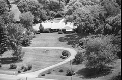 081-tlu-24
