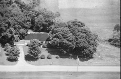 082-tlu-10