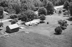 085-tlu-19