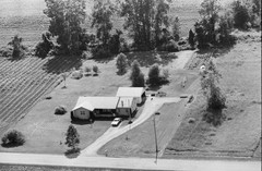097-tlu-10