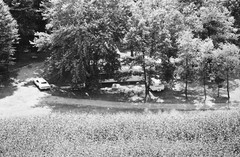 098-tlu-08