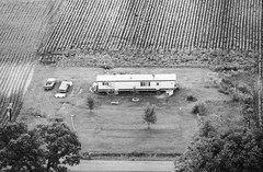 099-tlu-06
