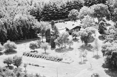 103-tlu-07