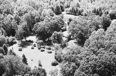 104-tlu-24