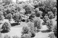 105-tlu-19