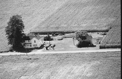 107-tlu-29