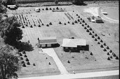 107-tlu-34