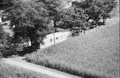 108-tlu-28