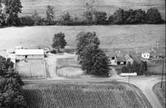 113-tlu-12