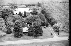 115-tlu-18