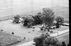 115-tlu-19