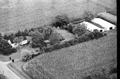 115-tlu-21
