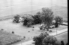 121-tlu-19
