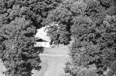 126-tlu-19