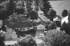 008-ylu-20