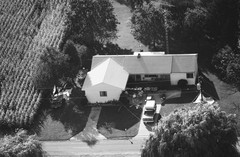 008-ylu-21