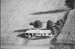 009-ylu-32